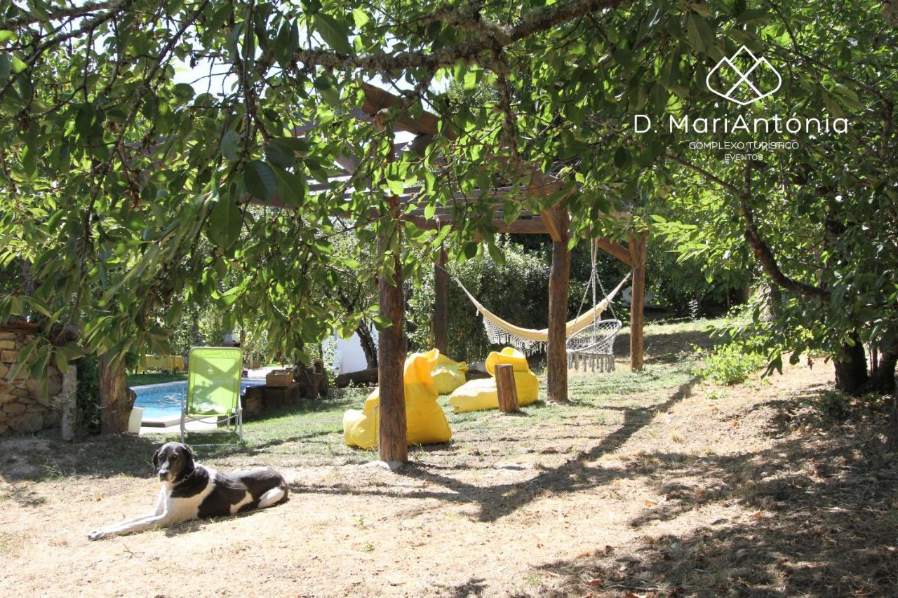 فيلا D. Mariantonia Complexo Turistico براغانسا المظهر الخارجي الصورة